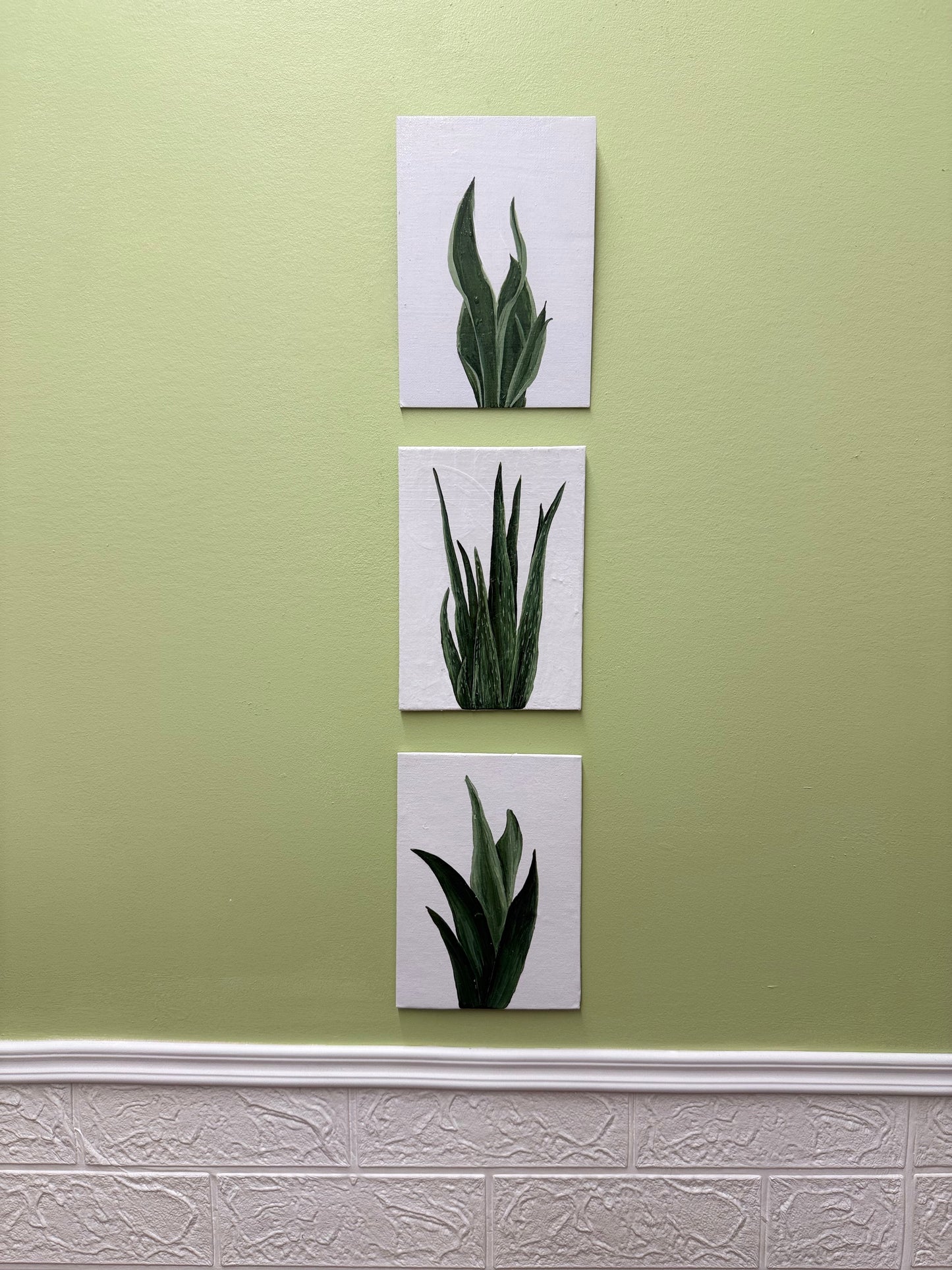 Three square prints of plants on a green wall with a textured white baseboard.