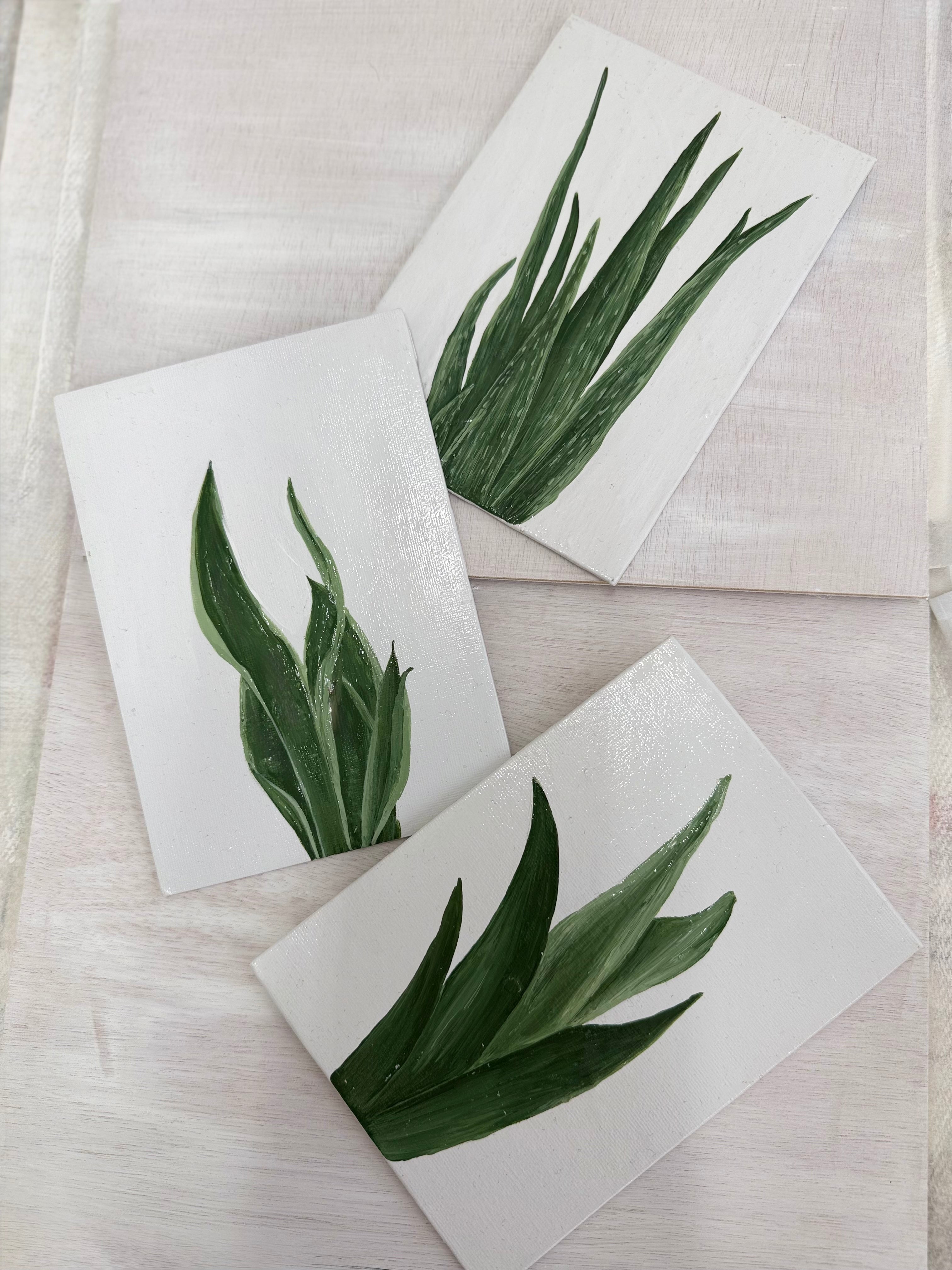 Three green leafy plants on white cards against a light wooden background