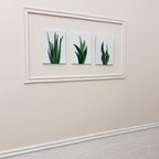 Three framed pictures of green plants on a beige wall.