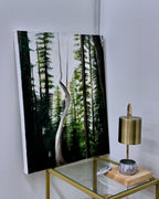 Framed artwork of a forest scene on a wall above a glass table with a lamp.