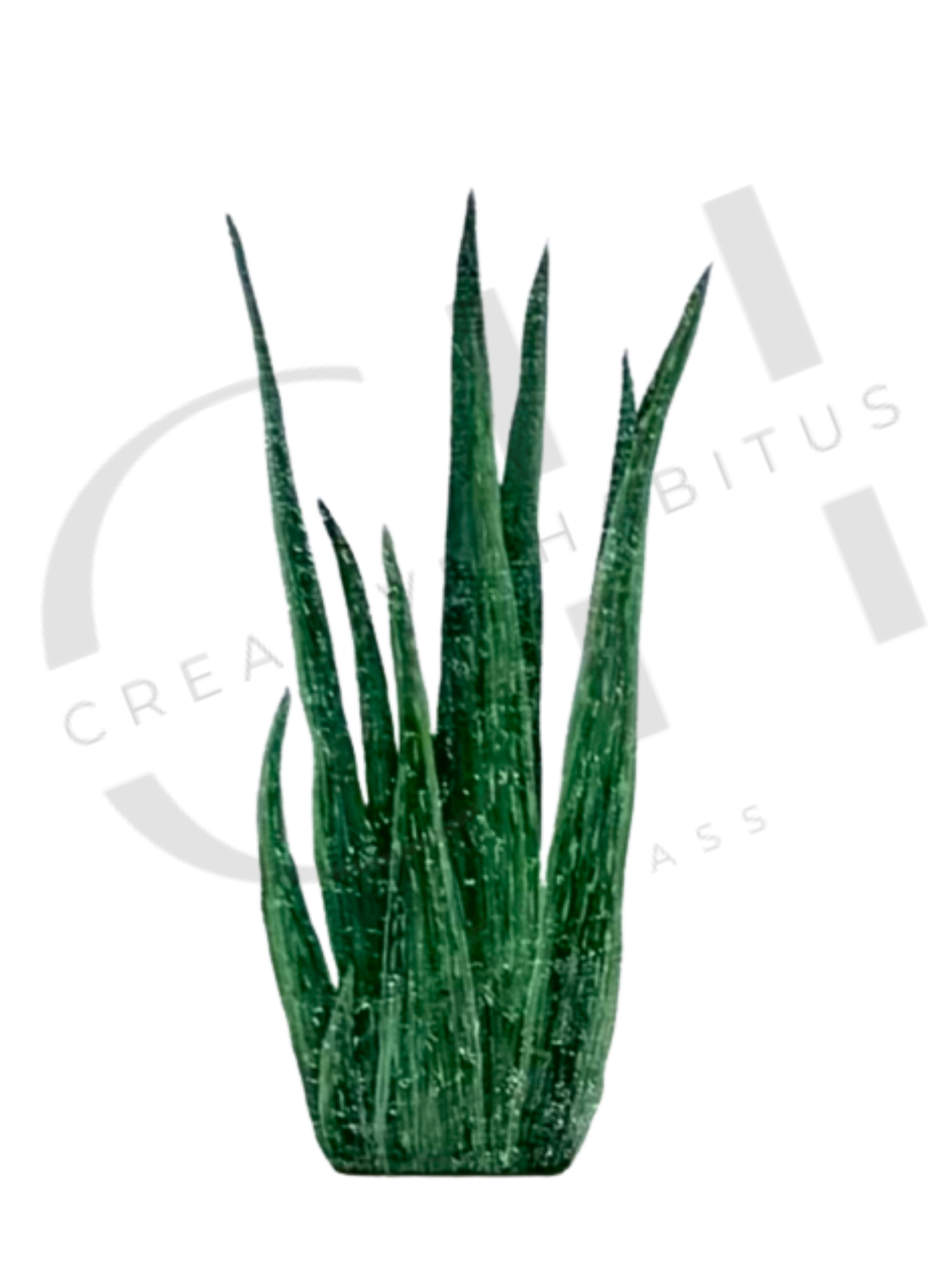 Snake Plant Print Set |Minimalist Botanical Wall Art (3-Pack)