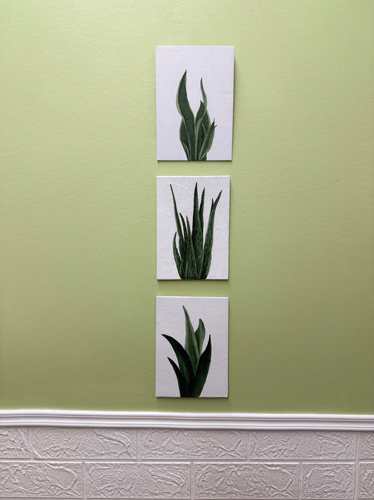 Three square prints of plants on a green wall with a textured white baseboard.