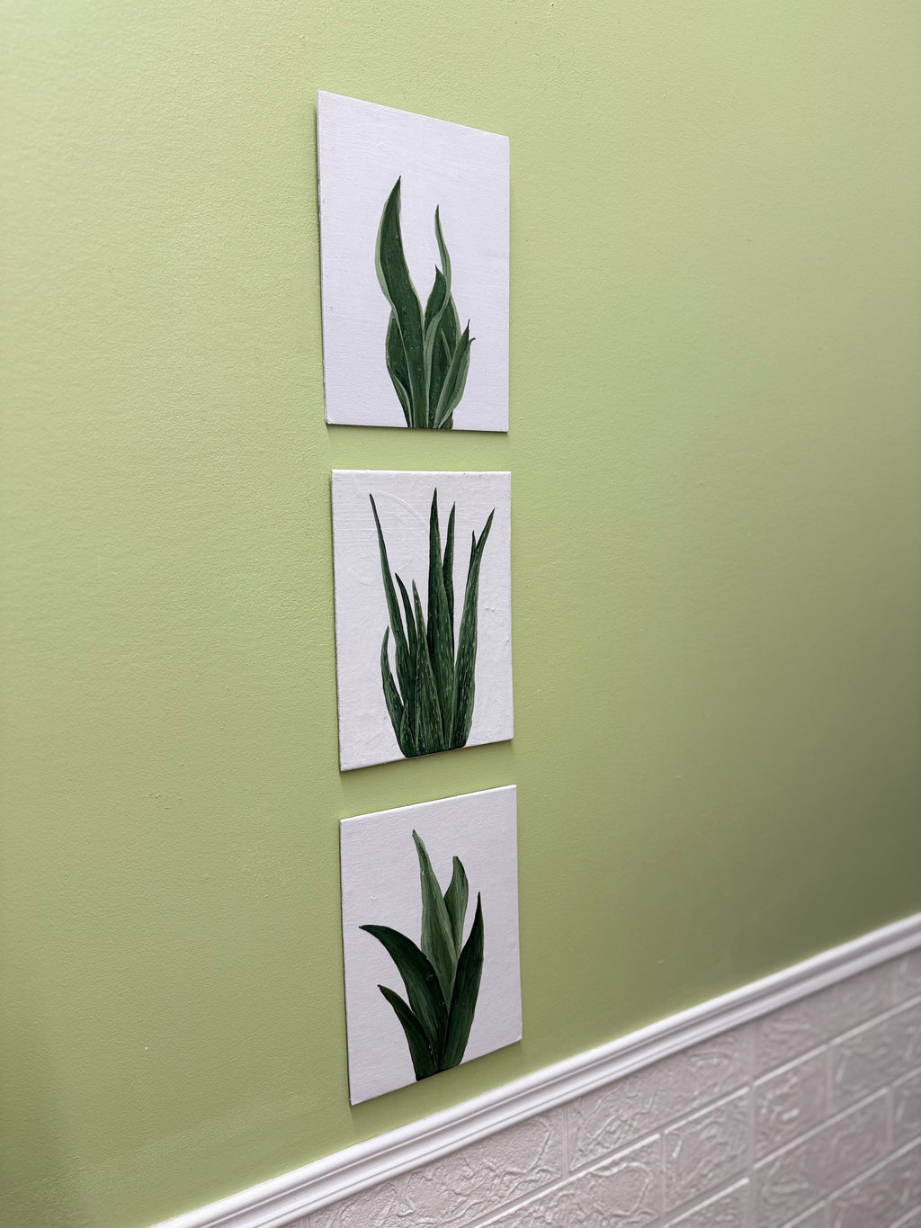 Three square artworks of plants on a green wall.