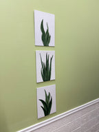 Three square artworks of plants on a green wall.