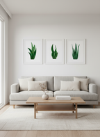 Three botanical digital art prints hung in white frames in a modern living room. 